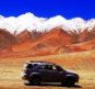 Himalayan Safari